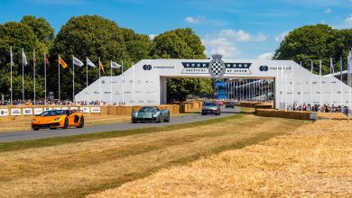Pirelli P Zero 40 Yaşında: Goodwood'da Teknoloji Şöleni