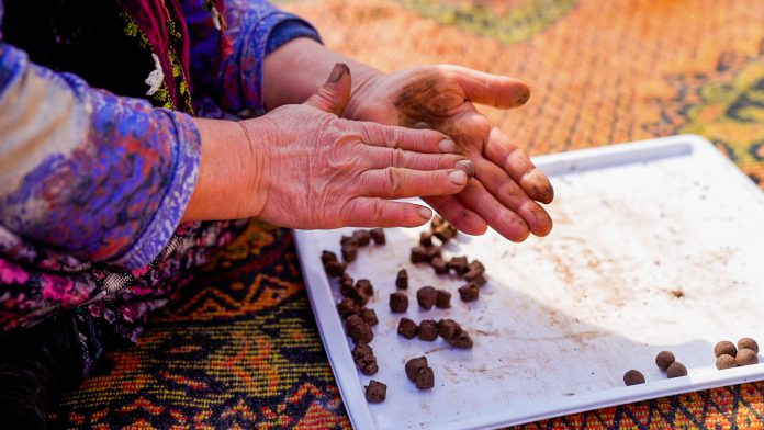 İnci GS Yuasa 100 Bin Tohumla Doğaya Nefes Oluyor.
