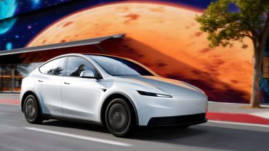 Tesla Model Y Standart: Uygun Fiyat, Uzun Menzil!